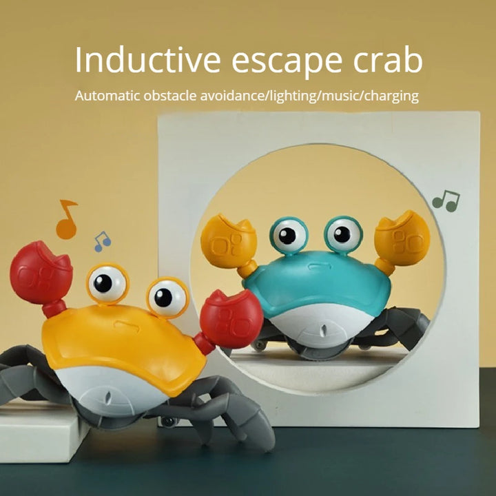 Dancing Crab Early Childhood Education