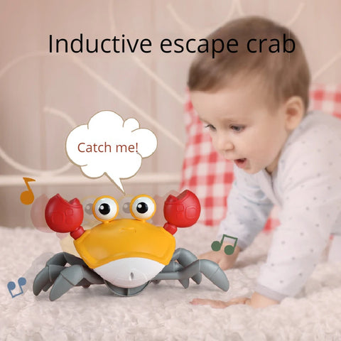 Dancing Crab Early Childhood Education