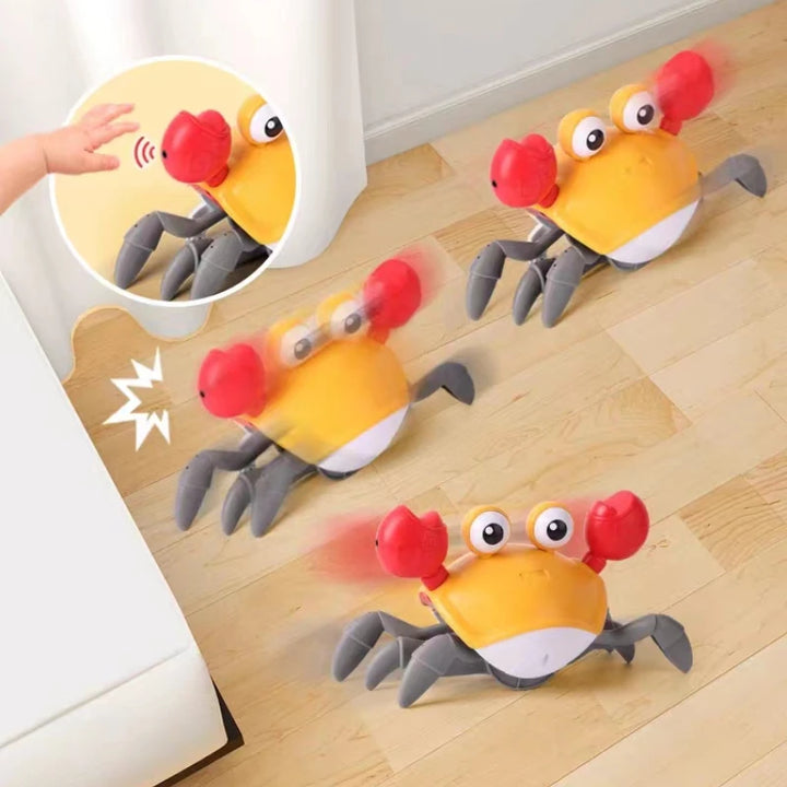 Dancing Crab Early Childhood Education