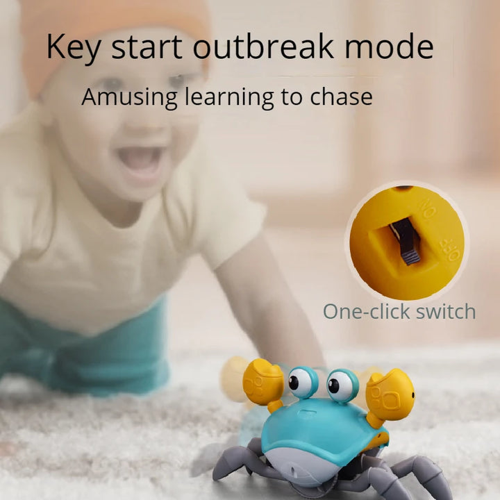 Dancing Crab Early Childhood Education